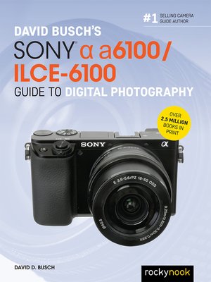 cover image of David Busch's Sony Alpha a6100/ILCE-6100 Guide to Digital Photography